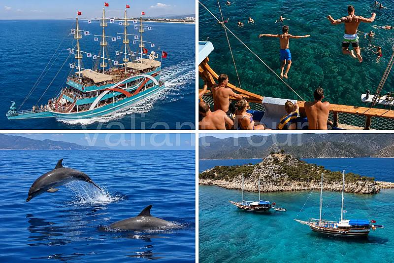 Dolphin Island Boat Tour