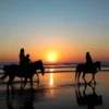 Horse-Riding-in-Zanzibar Horse Riding – Sorgun Forest and Beach Route