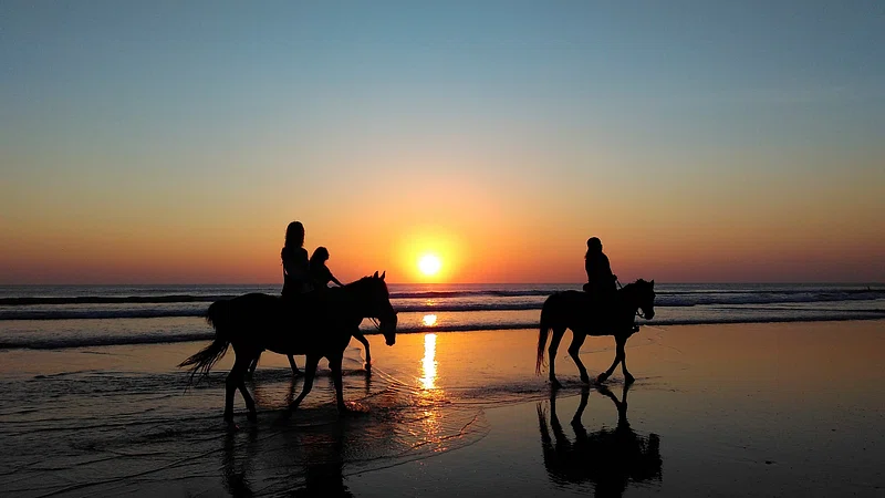 Horse-Riding-in-Zanzibar Horse Riding – Sorgun Forest and Beach Route