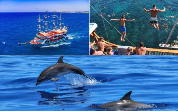 boat kapak Dolphin Island Boat Tour