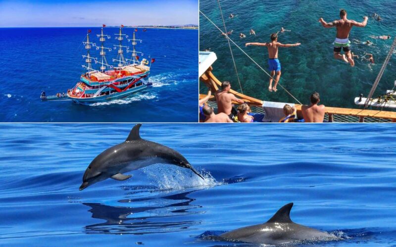 Dolphin Island Boat Tour