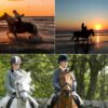 horse kapak Horse Riding – Sorgun Forest and Beach Route