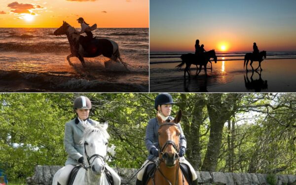 horse kapak Horse Riding – Sorgun Forest and Beach Route