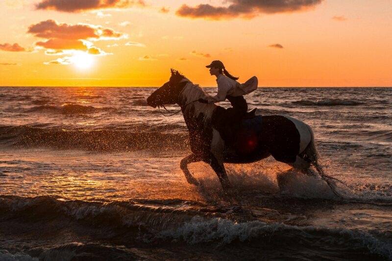 pexels-photo-8699099 Horse Riding – Sorgun Forest and Beach Route