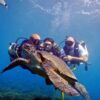 slide003 Scuba Diving Adventure
