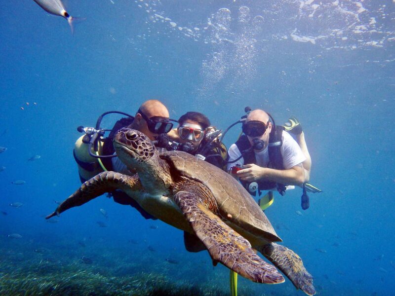 slide003 Scuba Diving Adventure